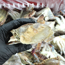 100% 국내산 연평도 냉동 하프컷 절단 꽃게, 1개, 2kg (500g X 4팩)