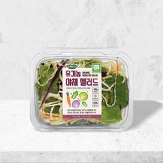 초록한입 유기농 야채샐러드 100g x 3개 세트