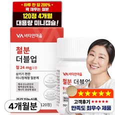 비타민마을 철분 더블업 미니 정제형 철분제, 120정, 1개