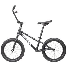 SWAGKID S16 16吋滑步車 成人滑步車 教練滑步車, 消光黑, 1個