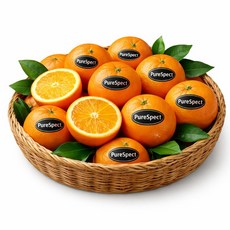 [초특가] 퓨어스펙 블랙라벨 오렌지 초고당도 선별 최상품 직수입 디아머스, 1개, 1.5kg 내외 (특대과)