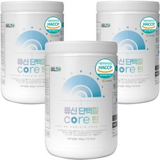 류신 단백질 코어틴 분말 식약처 HACCP 인증 파우더 가루 대용량 400g, 3개