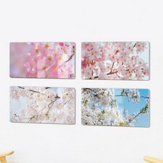 bf235-폼아크릴액자38CmX18Cm_봄의꽃벚꽃