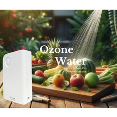 ERGOVA O-Clean Pro 臭氧產生器, 白, 1個