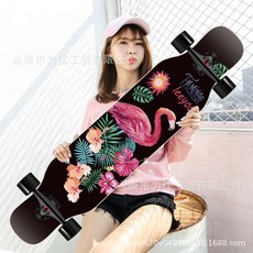 스케이드보드 초보 입문용 성인용 초급 크루져, U