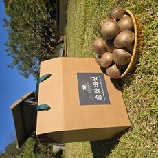 [100% 산지직송] 프리미엄 송화버섯 가정용 명절선물세트 정말 맛있어요, 1개, 1kg(알뜰선물용_중상품)