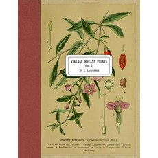 (영문도서) Vintage Botany Prints: Vol. 2 Paperback, Createspace Independent Pub..., English, 9781721037117