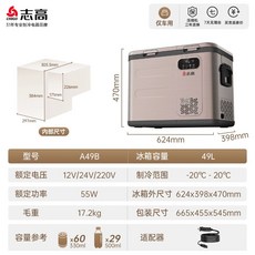 차량용냉장고대용량 아이스트립 캐리어식 휴대용 냉온장고 냉동고 이동식 차박 차냉장고 캠핑, A49 차량용 싱글 스트리머골드