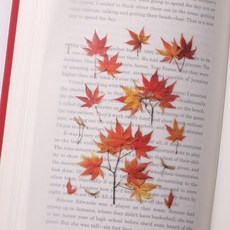 우정 꾸미기 압화스티커 단풍 친구에게 전하는 응원 메시지 포인트