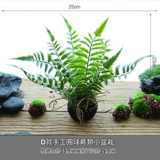 仿真圓球蕨類盆栽, 1個, D款手工圓球蕨類小盆栽