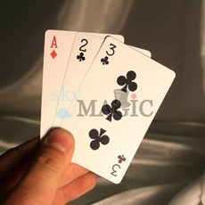 마술도구 야바위카드 초보자 학예회 장기자랑 쓰리 카드 몬테-코인매직, 1개