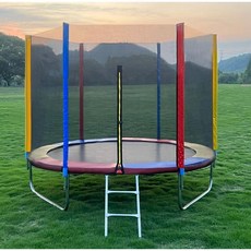 다채로운 대형 트램폴린 성인 야외 상업 가정 실내 튀는 침대, 3.06m + 안전망 + 사다리