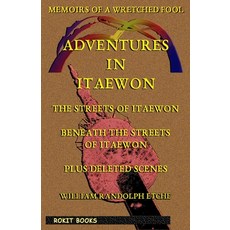 (英文圖書)Memoirs of a Wretched Fool: Adventures in Itaewon 平裝版, Independently Published, 英文