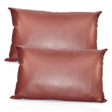 국내산 고급형 다용도 레자베개 병원베개, 갈색, 2개