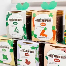 굿마켓 식물 재배 키트, 02재배키트-딸기, 02재배키트-딸기