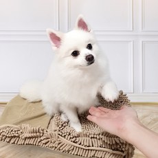 뽀솜이 반려동물 펫 전용 타월, 베이지, 1개