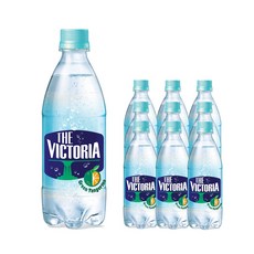 더빅토리아 청귤 탄산음료, 10개, 500ml