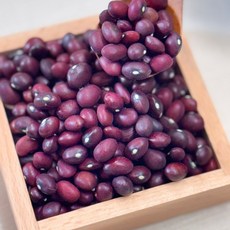 영원농산 25년산 중국산 울타리콩 적울콩 울타리강낭콩 빨간콩 밤콩, 1개, 5kg