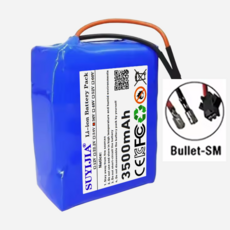 36V 3500mAh 10s1p 배터리 팩 전기 자가 균형 스쿠터 호버보드 외발자전거용 충전식 리튬 이온, [02] Bullet-SM
