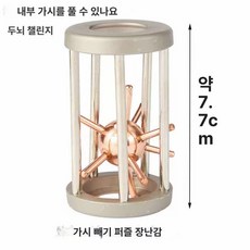 지혜의고리 감옥 퍼즐 고리 도금 게임 브레인 골든 자물쇠 퀘스트 두뇌, 1개, 우리 안에서 가시-무광 로즈골드, 1피스