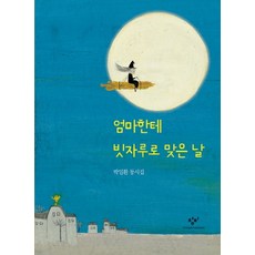 엄마한테 빗자루로 맞은 날 박일환 동시집, 상품명