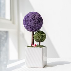 SCANDIAMOSS 親子苔蘚樹花盆, 08_紫, 1個