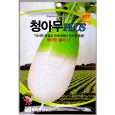 세계종묘 청아무플러스 30g 김장무 종자 아삭한 육질 근비대력 강한 무씨앗 세계, 1개