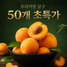 [50박스 한정] 초고당도 쫀득 햇 살구, 1박스, 1kg