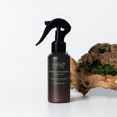 헤어플러스 단백질 본드 우디 블랑쉬 워터 노워시 트리트먼트 120ml 뿌리는 극손상 헤어팩 향좋은 퍼퓸