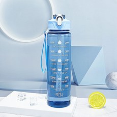 太空杯夏季水杯女生吸管杯戶外運動水壺便攜塑料杯一鍵彈蓋, 1個, 1L, 透明藍色750ml:裸杯(含吸管)