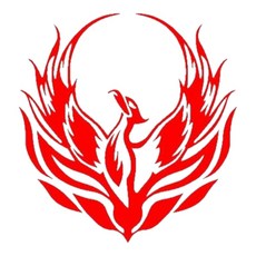 화려한 오토바이 불꽃 바이크 데칼 스티커 12cm 꾸미기 셀프 선물용 라인, 실버