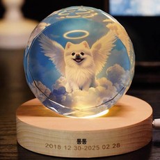 소울메모리볼 크리스탈공비디오 추억보관 오렌지, 포레스트그라스 (크리스탈 램프+쿠션), 1개, 1GB