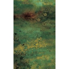 蝙蝠 劇本, 那本書, 鄭瑞景, 朴贊郁 合著