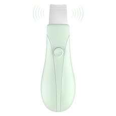 얼굴 피지 블랙헤드 제거기 각질관리기기, 그린