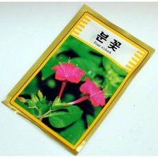 (TNB) 씨앗 500 교재용, 나팔꽃