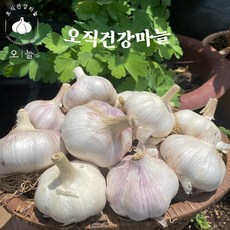 25년 국내산 건강한통마늘 2kg, 1개