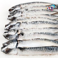 노르웨이 간고등어 (중) 10미(5손) 고등어구이 자반고등어, 1개, 2.2kg