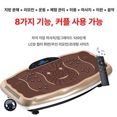 진동 운동 기구 바디 보드 쉐이핑 덜덜이 쉐이크 마사지 헬스장, 골드 스타일리시 300w 78cm 1단계, 기본 모델명/품번