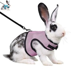 토끼 하네스 가슴줄 산책 목줄 스트랩 리드줄 소동물 fee*1941CE, S_블루