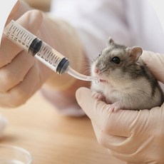 소동물 이유식 급여용 곡선 주사기 12ml 커브드 피딩 도구