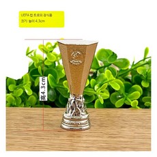 상패 축구 우승컵 트로피 체육대회 월드컵형 인테리어 장식 4.3cm 유럽 컵 장식품, 1개
