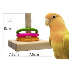 金瑞成鳥園 套圈圈 互動益智玩具 培養感情 適用小型以上鳥種, 1個, 三個套圈