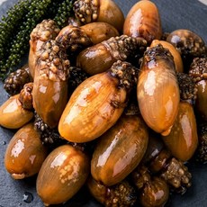 [시즌특가] 제철 산지직송 손질미더덕 통영 미더덕, 1개, 500g