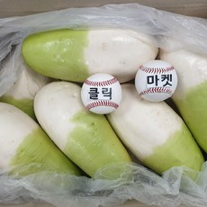 클릭마켓 제주무 월동무 제주도 무 무우 겨울무, 2kg, 1박스