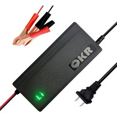 14 6V LiFePO4 배터리 충전기 12V 10A 리튬 스페셜 인산철 LED 표시등이 있는 스마트 내장 안전 보호 기능 고속 충전 지원, 1개