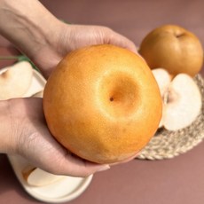 나주배 고당도 명품 배 선물용 가정용 나주 산지직송, 1박스, 5kg /대/ 8~10과/가정용, 상품 가정용