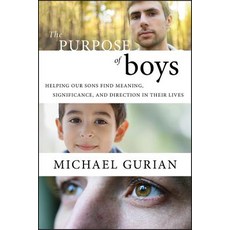(영문도서) The Purpose of Boys P Paperback, Wiley, English, 9780470401828