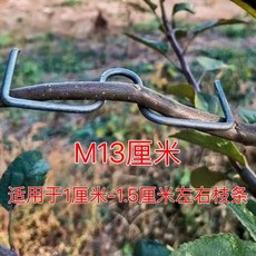 나뭇가지 고정클립 E크립 나무가지 원예 집게 지지대 13cm 1.5kg 약63개 1개, m 13cm 1.5kg 포장 약63개 × 1개