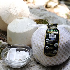 원시인농산 영코코넛 개당 판매(원하는 수량만큼 담으세요.) - 9개까지 묶음가능, 1개