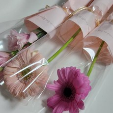 플랜트마스터 한송이 생화꽃 단체 발표회 유치원 학교 은퇴 교회행사 미리 주문주세요, 1개, 복합